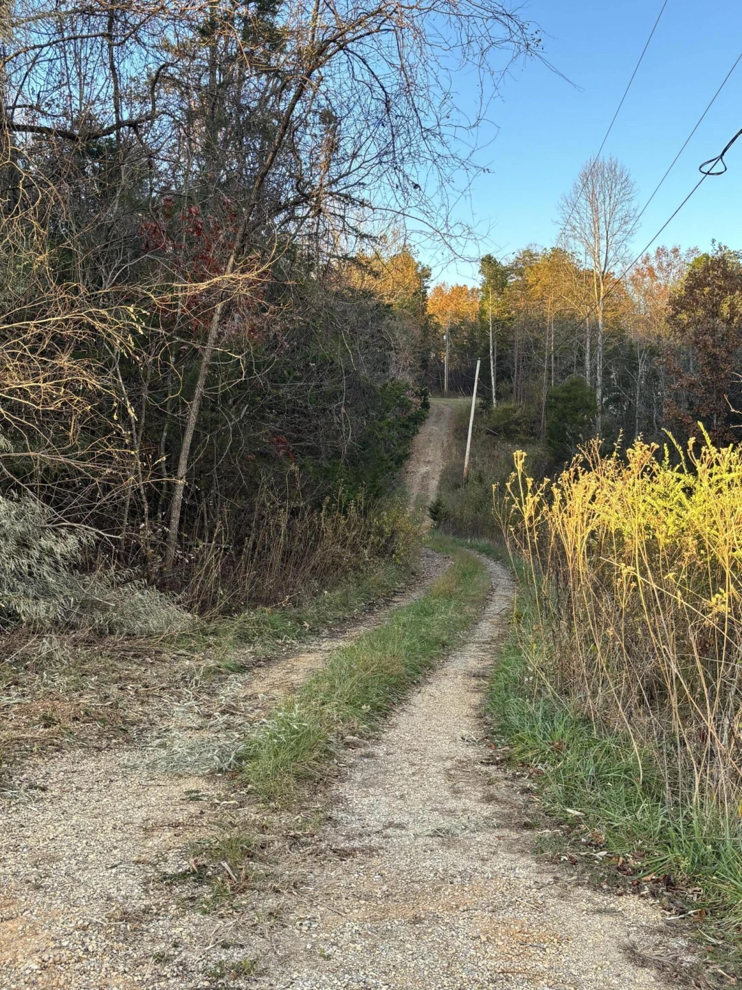 170 Glider WAY - Photo 7