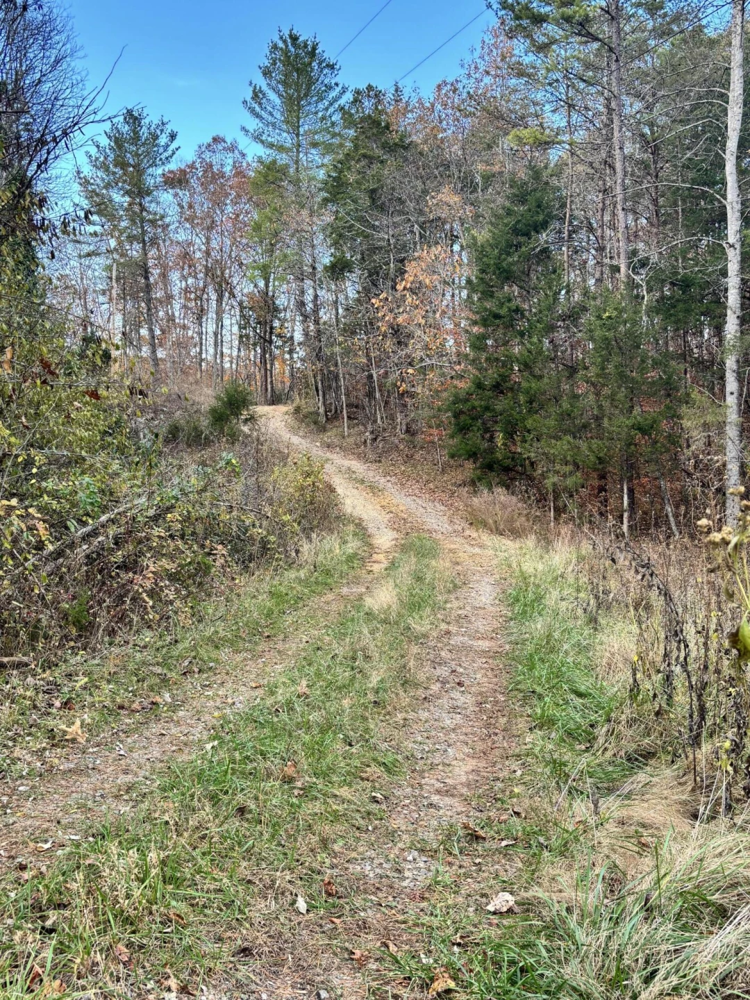 170 Glider WAY - Photo 8