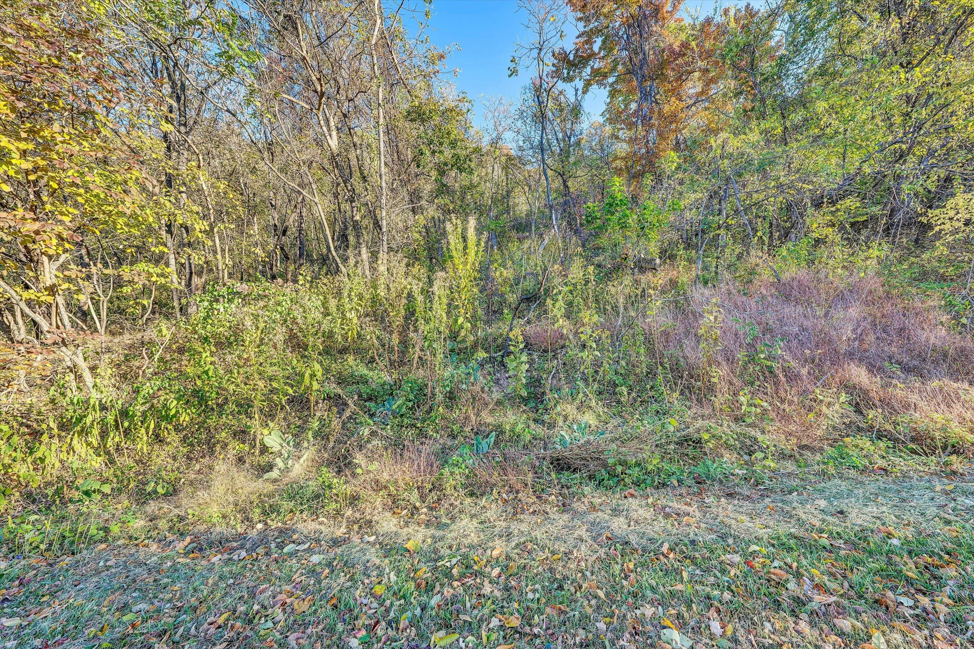 4426 Toddsbury DR - Photo 18