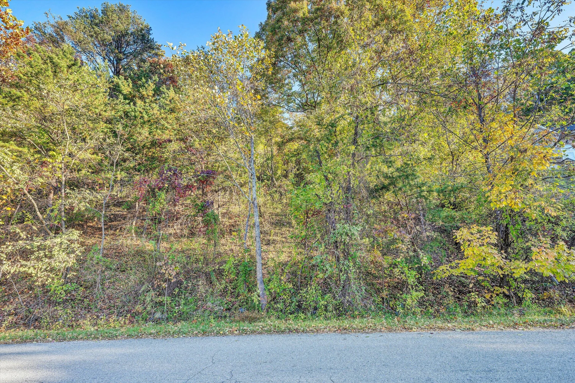 4426 Toddsbury DR - Photo 21