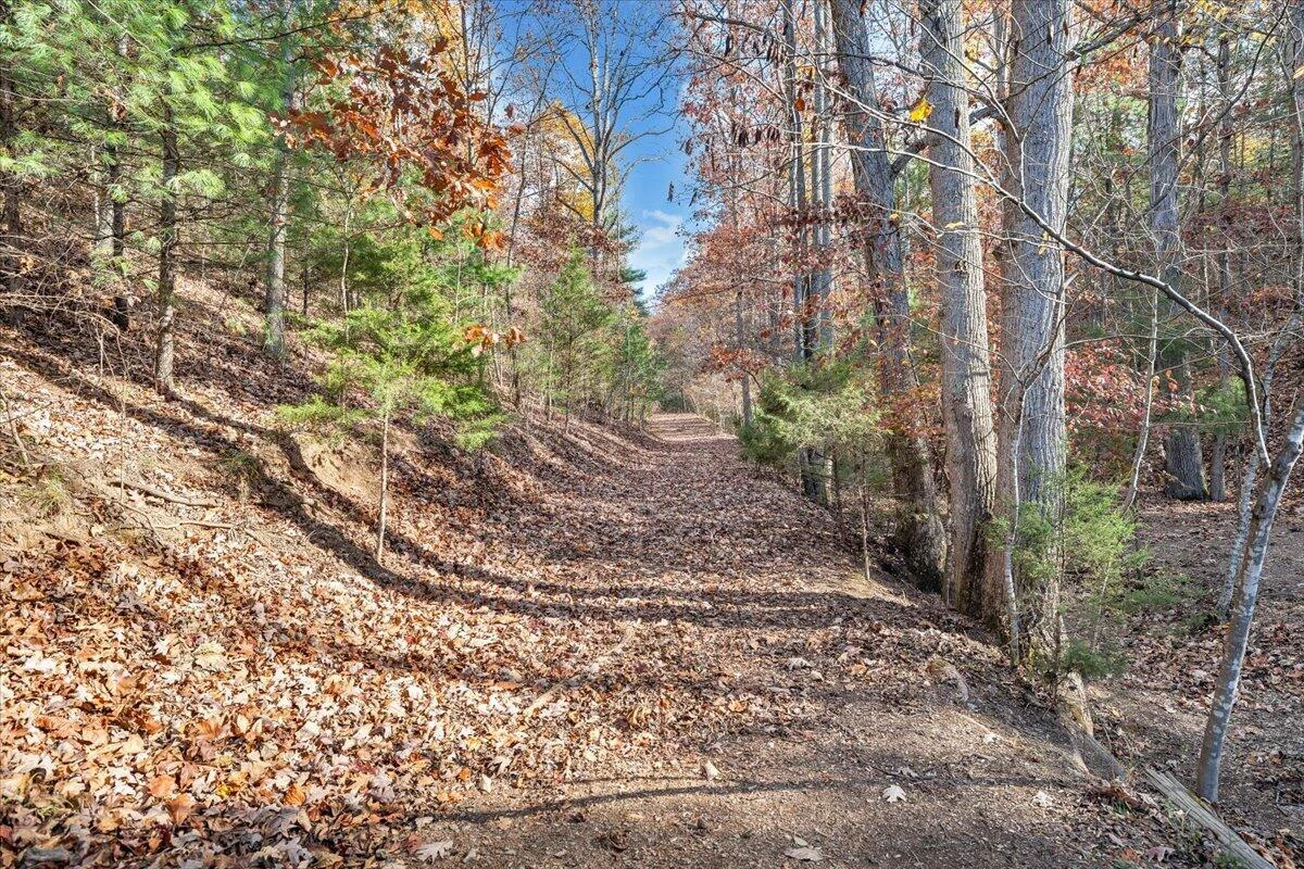 549 Clydes RD - Photo 78