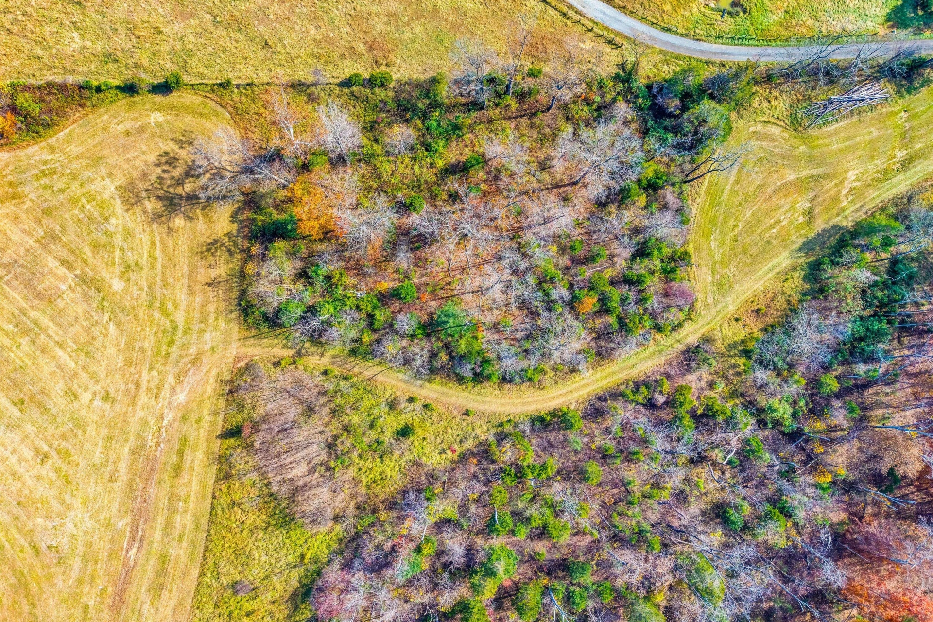 0 Grove Hill RD - Photo 50