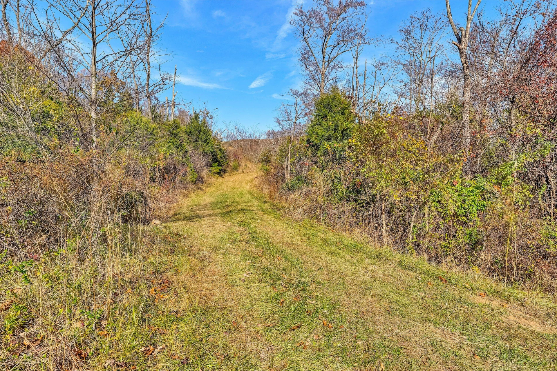 0 Grove Hill RD - Photo 56