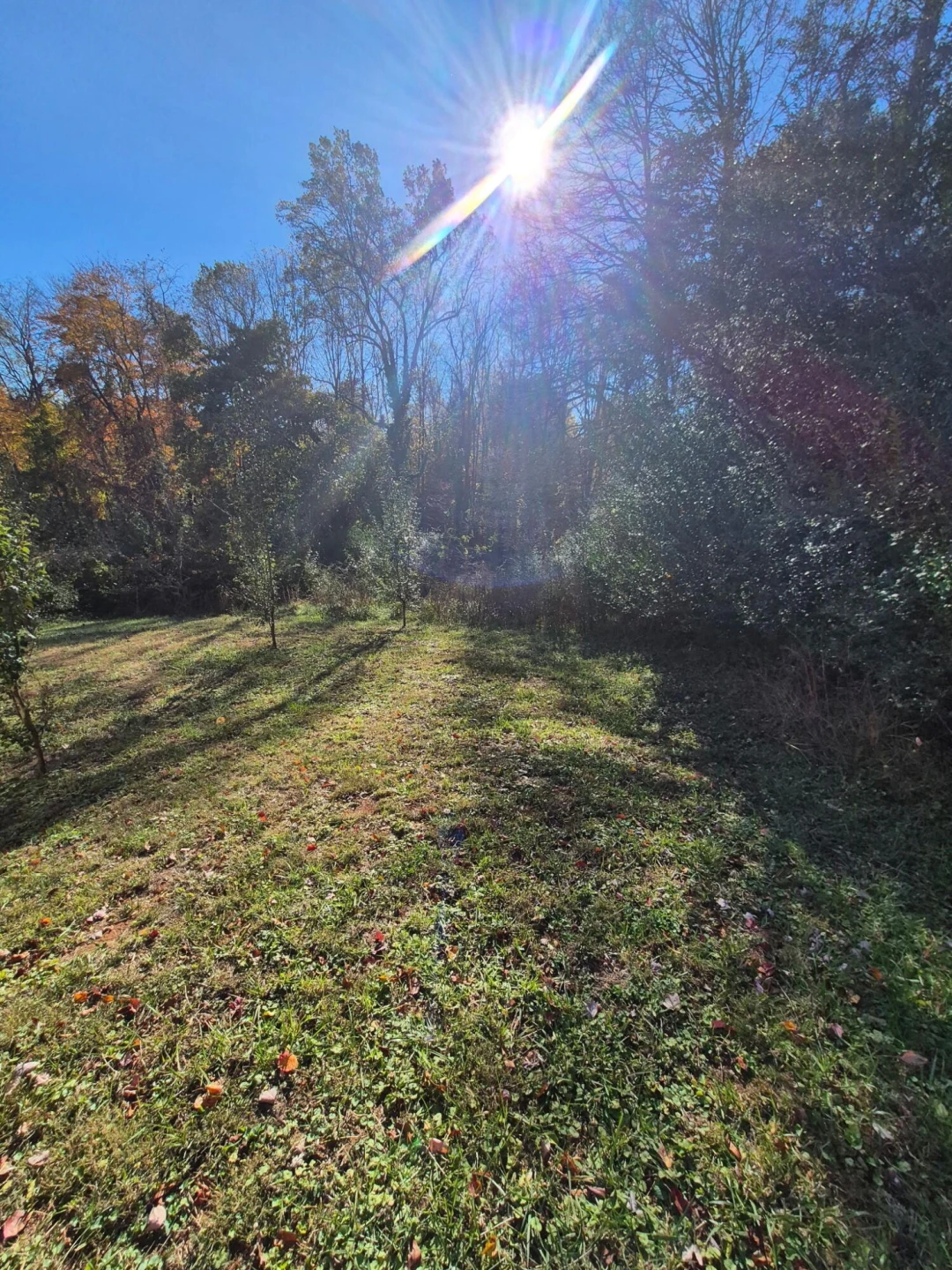 36 Westwood CT - Photo 4