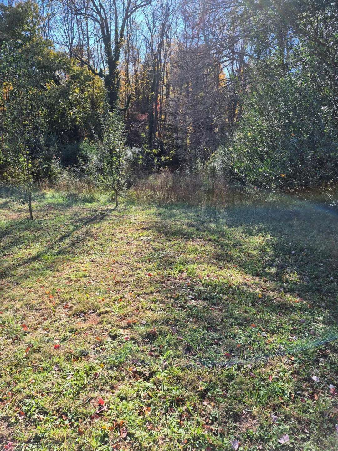 36 Westwood CT - Photo 5