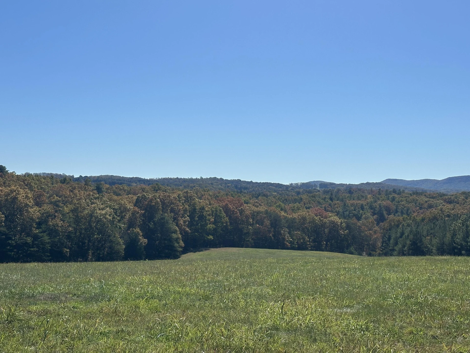 220 Camp Fincastle LN - Photo 18