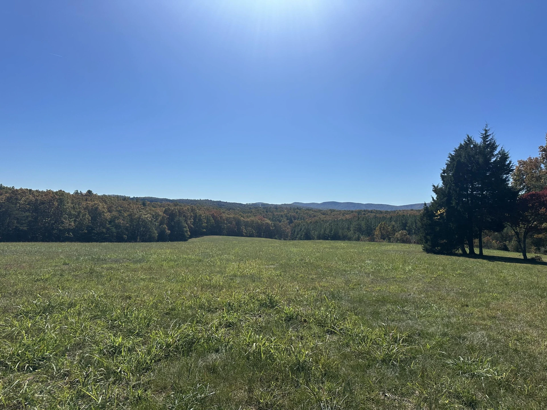 220 Camp Fincastle LN - Photo 2
