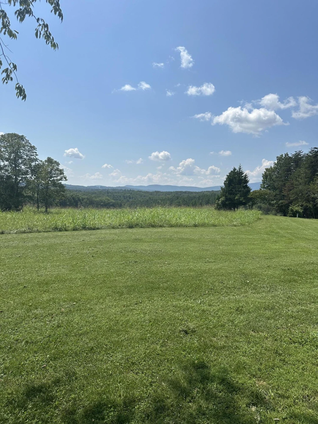 220 Camp Fincastle LN - Photo 21