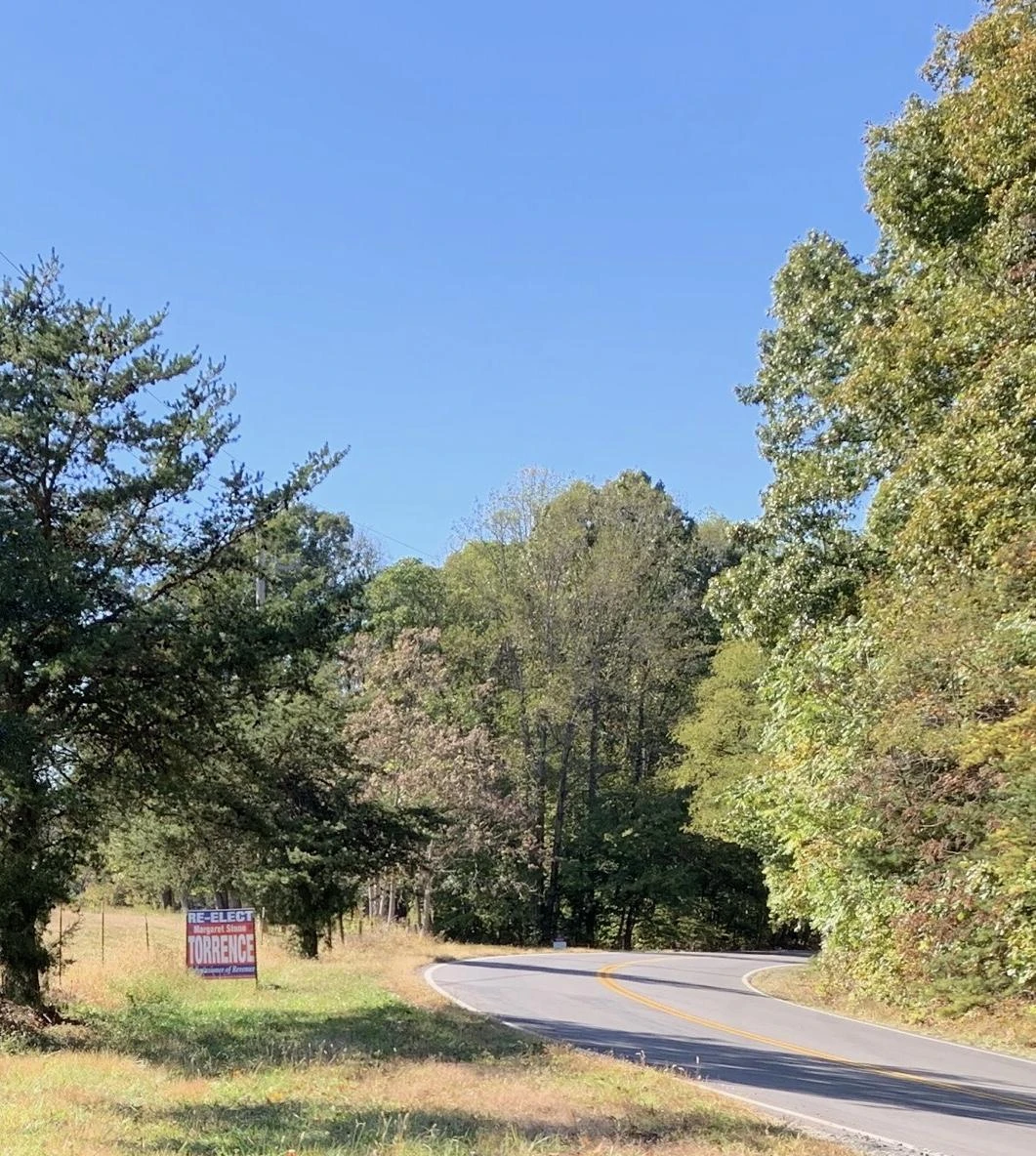 0 Scruggs RD - Photo 3