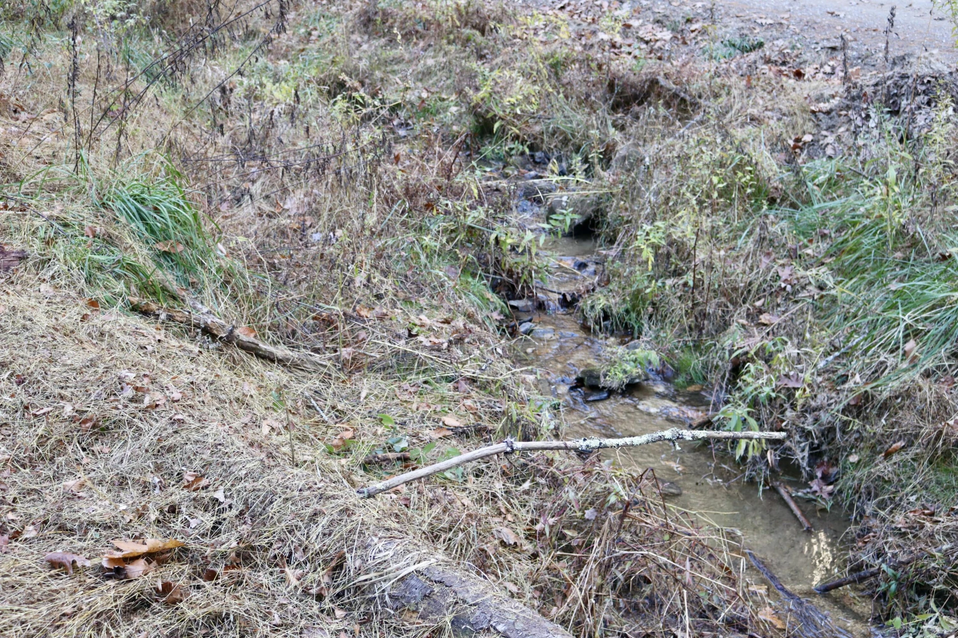 541 Goose Creek Run NE - Photo 13