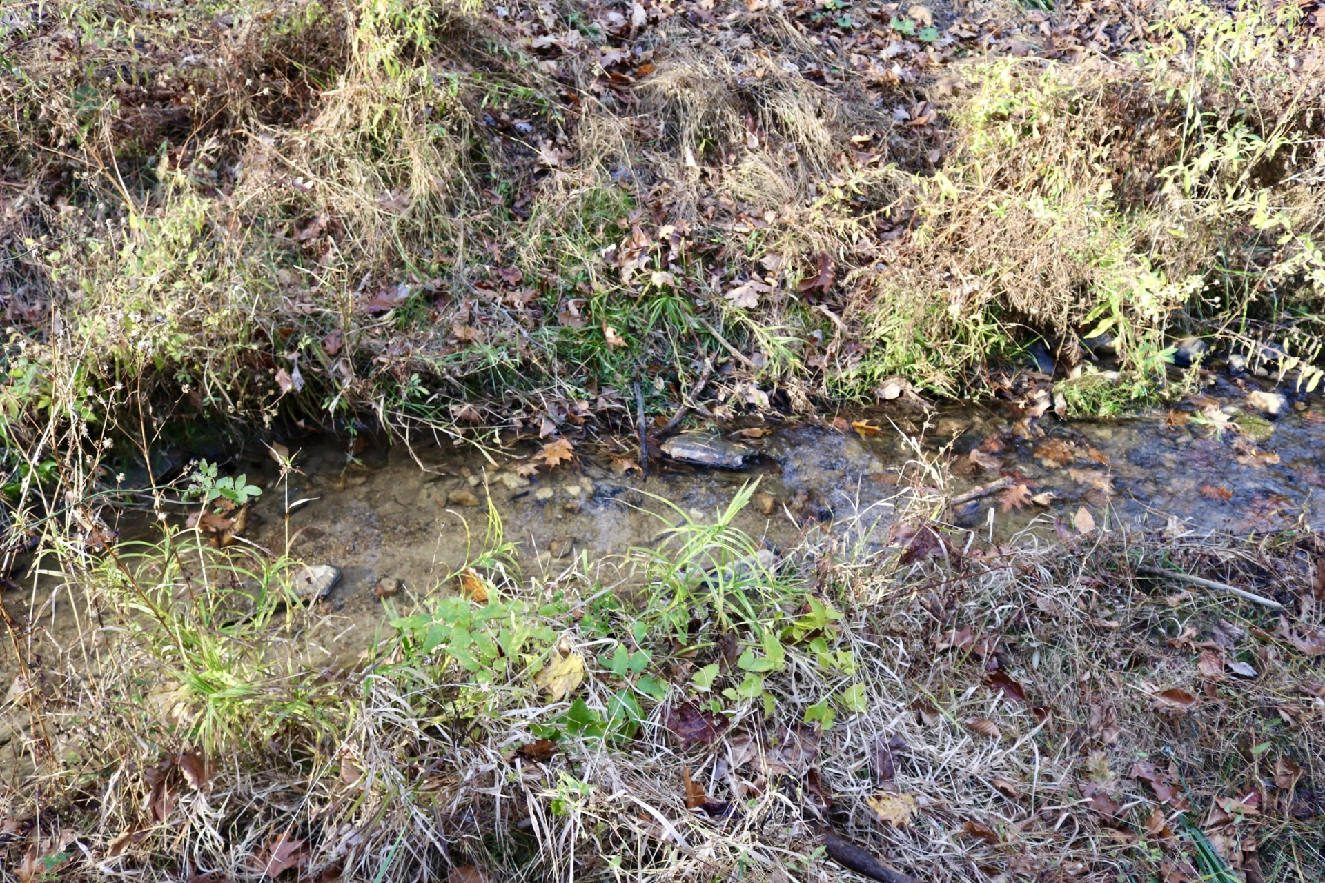 541 Goose Creek Run NE - Photo 14