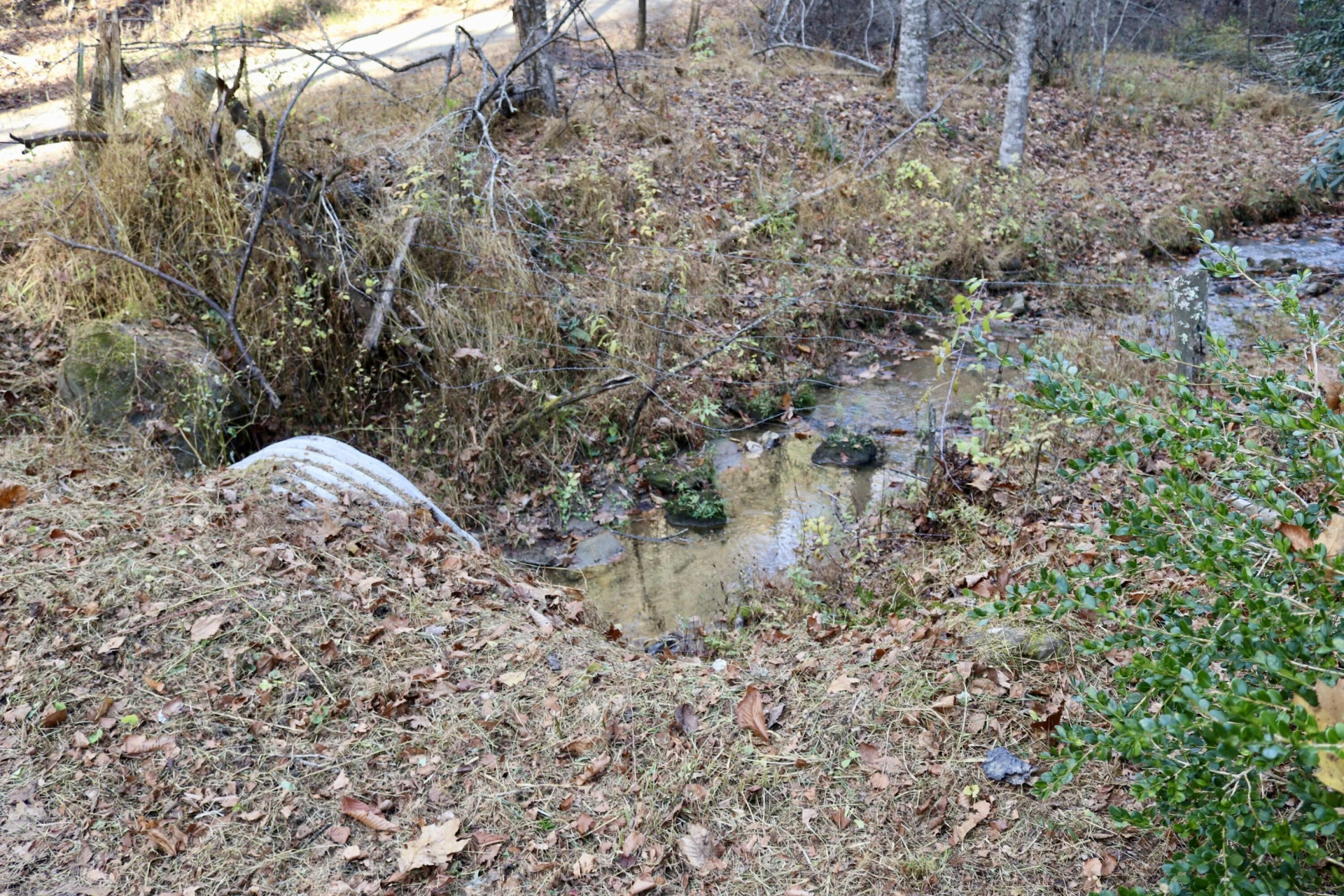 541 Goose Creek Run NE - Photo 15