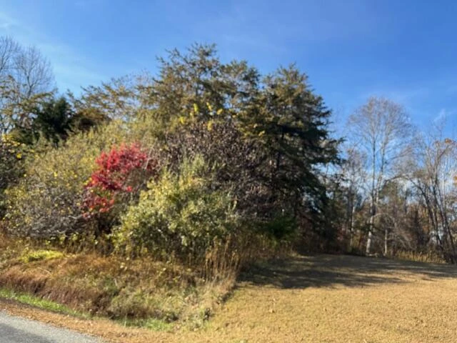 Lot 16 Walnut Run DR