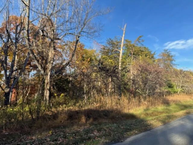 Lot 16 Walnut Run DR - Photo 2