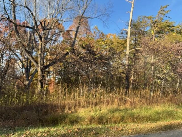Lot 16 Walnut Run DR - Photo 3