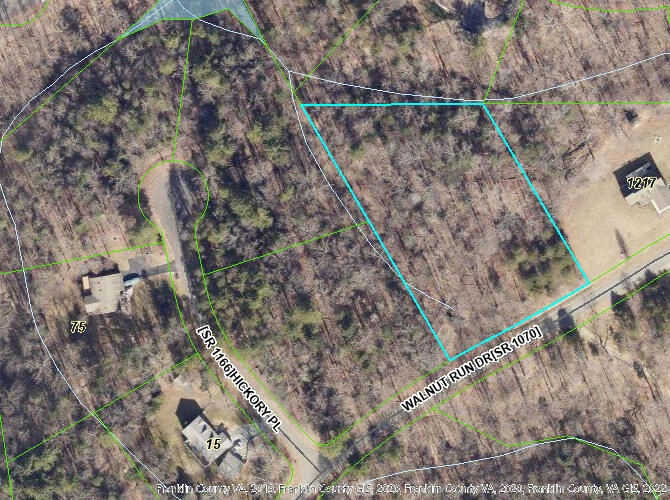 Lot 16 Walnut Run DR - Photo 4