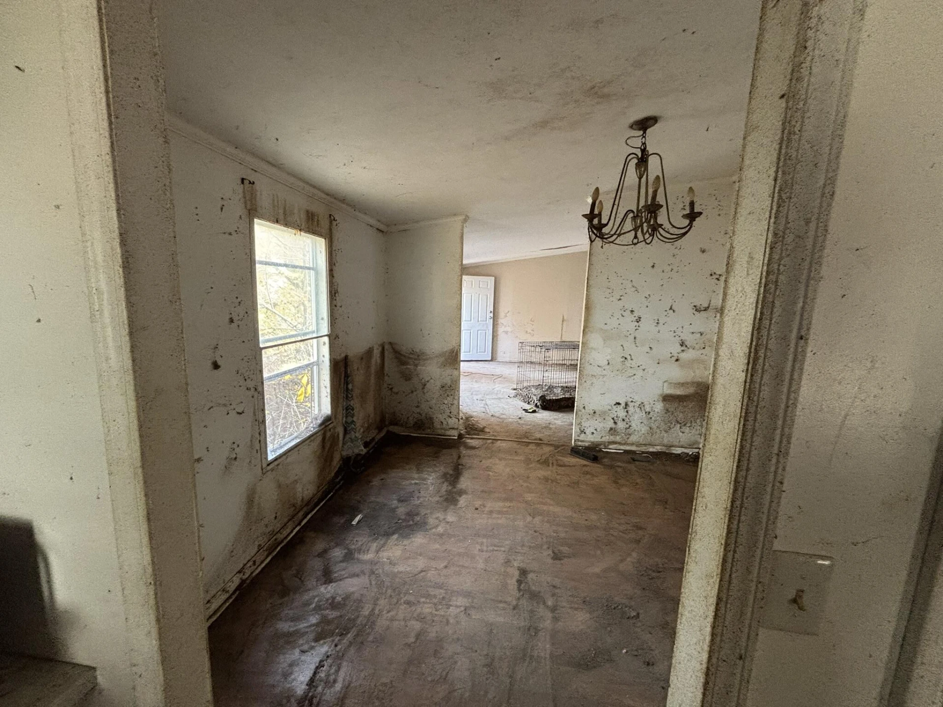 8444 Jeters Chapel RD - Photo 3