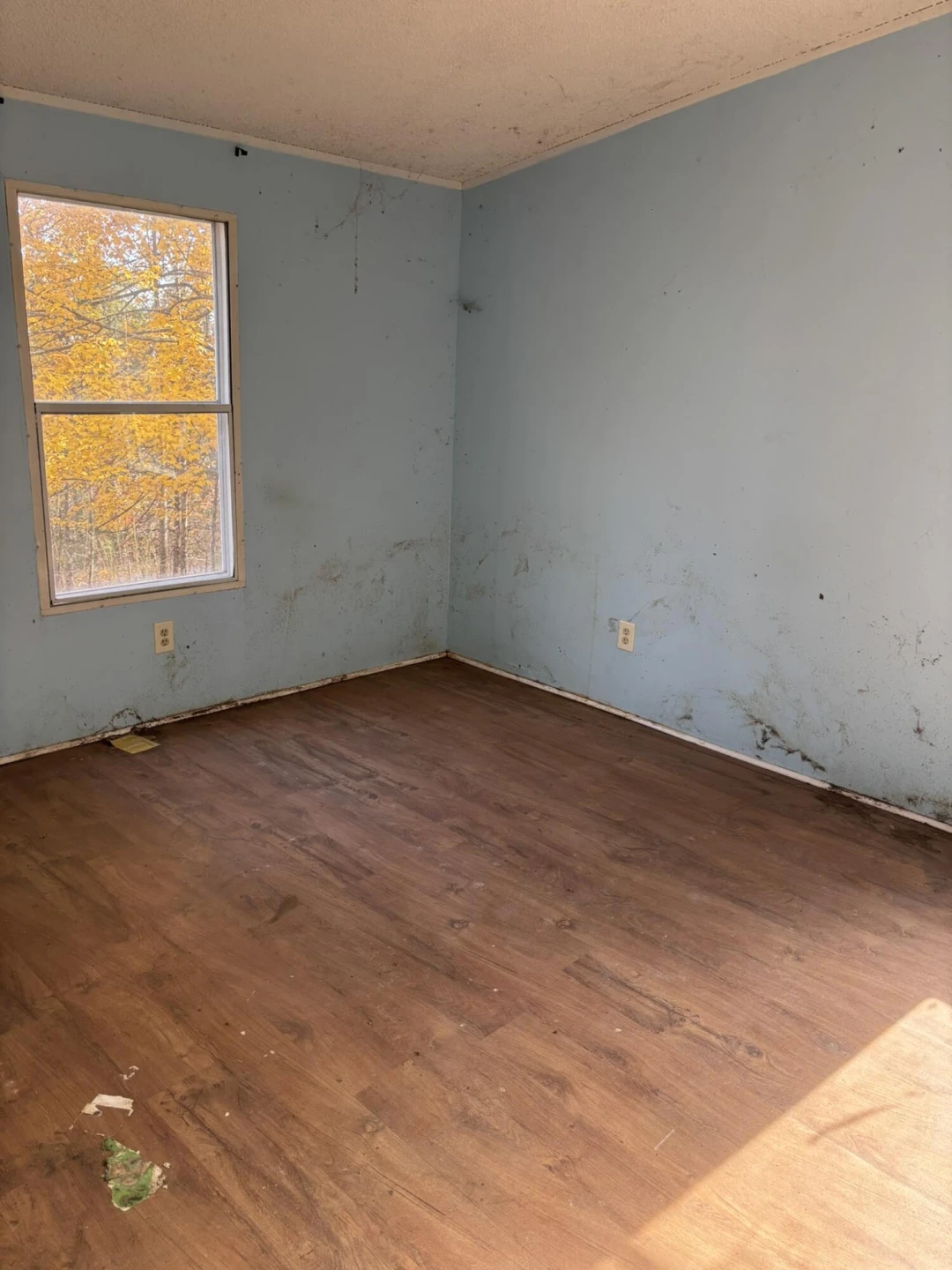 8444 Jeters Chapel RD - Photo 8