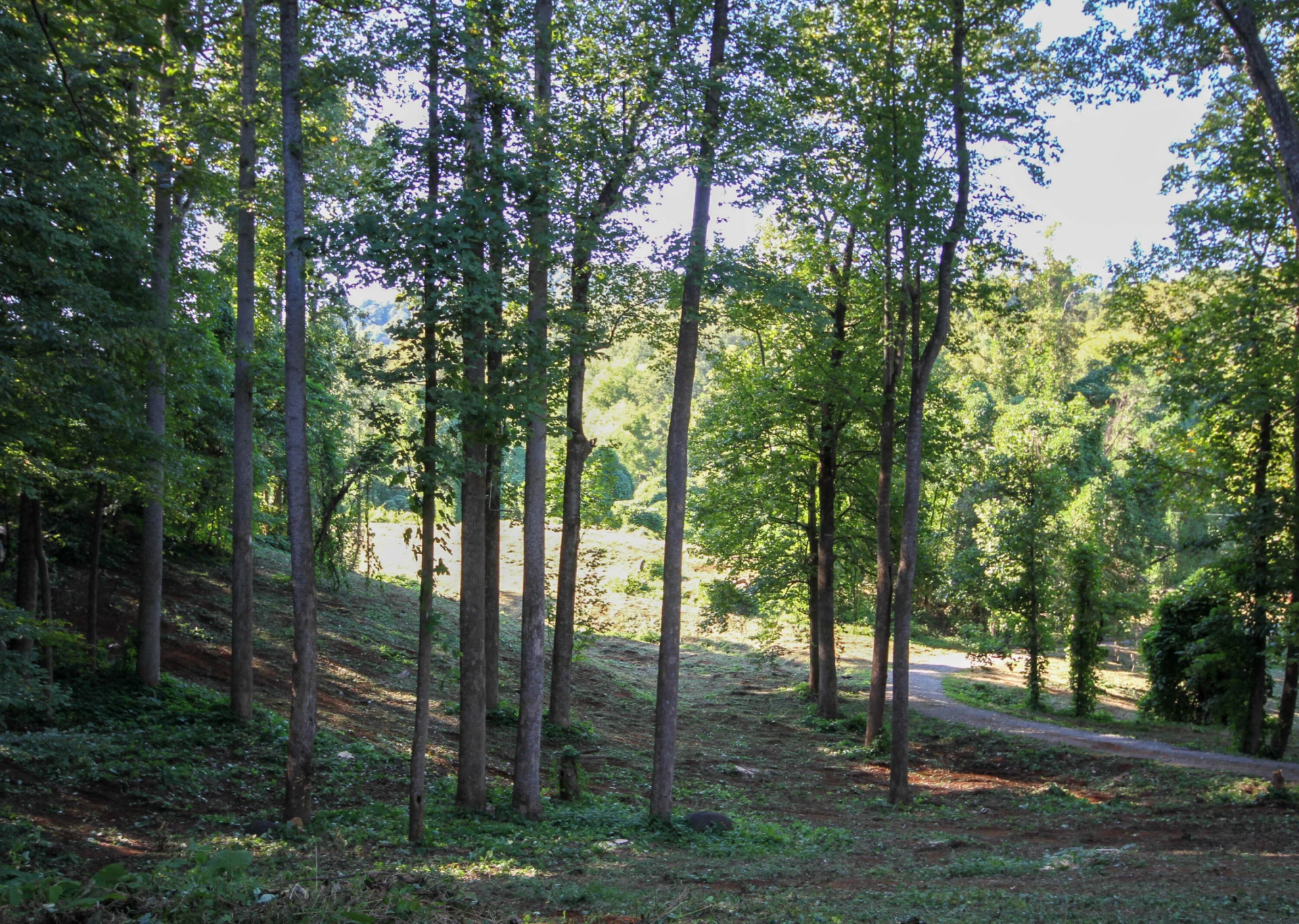 1325 Webb Mountain RD - Photo 23