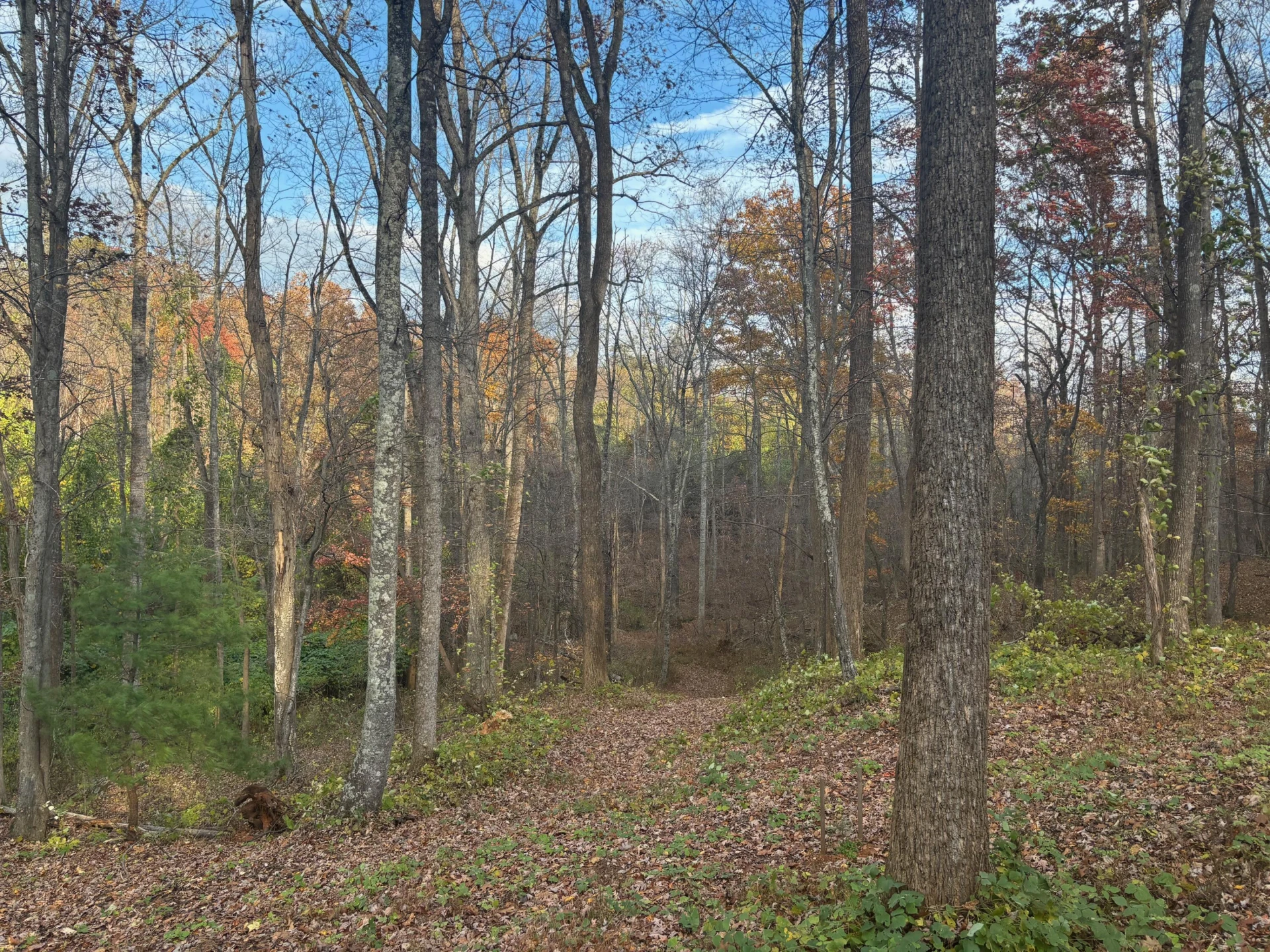 1325 Webb Mountain RD - Photo 24