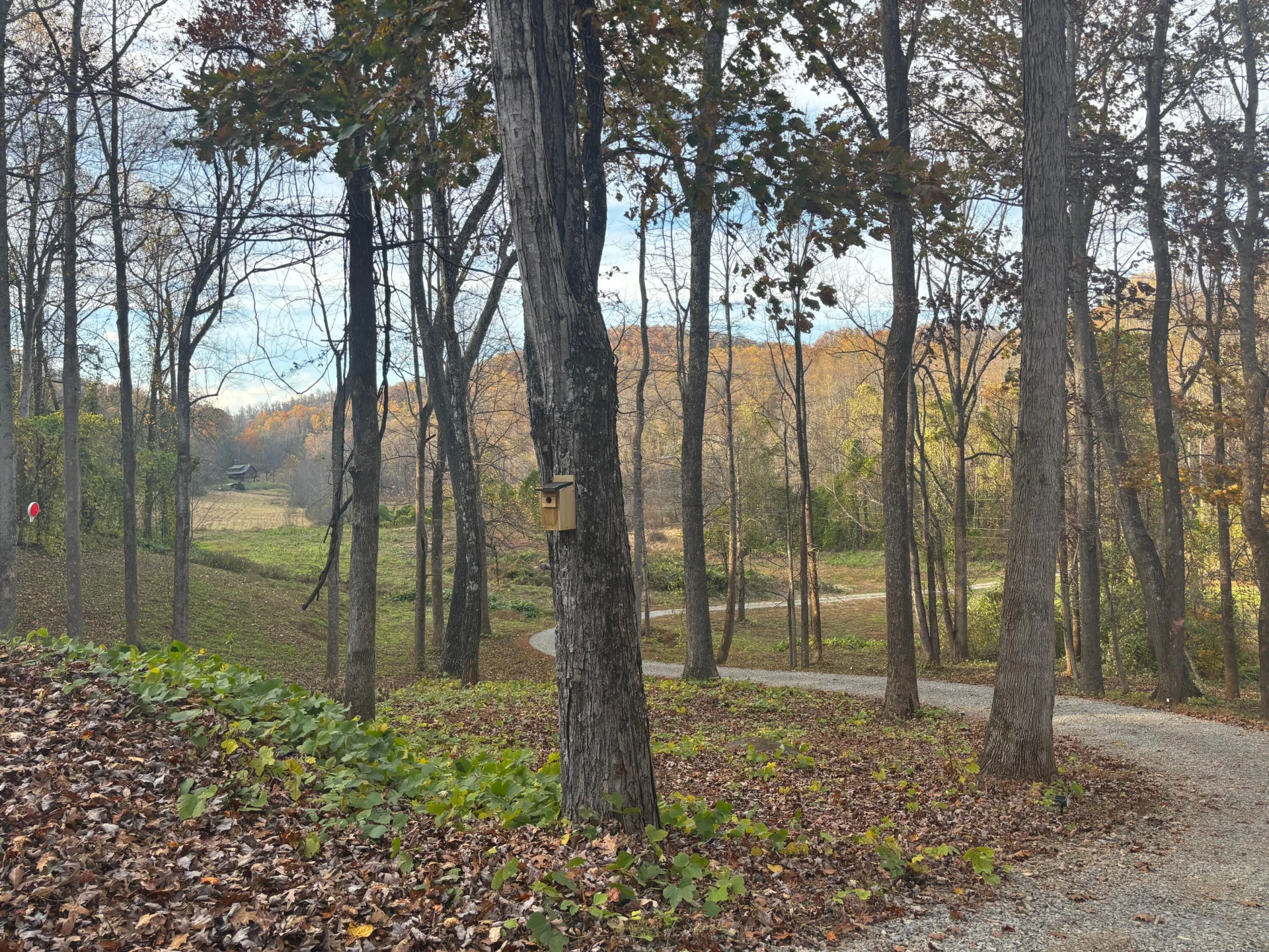 1325 Webb Mountain RD - Photo 25