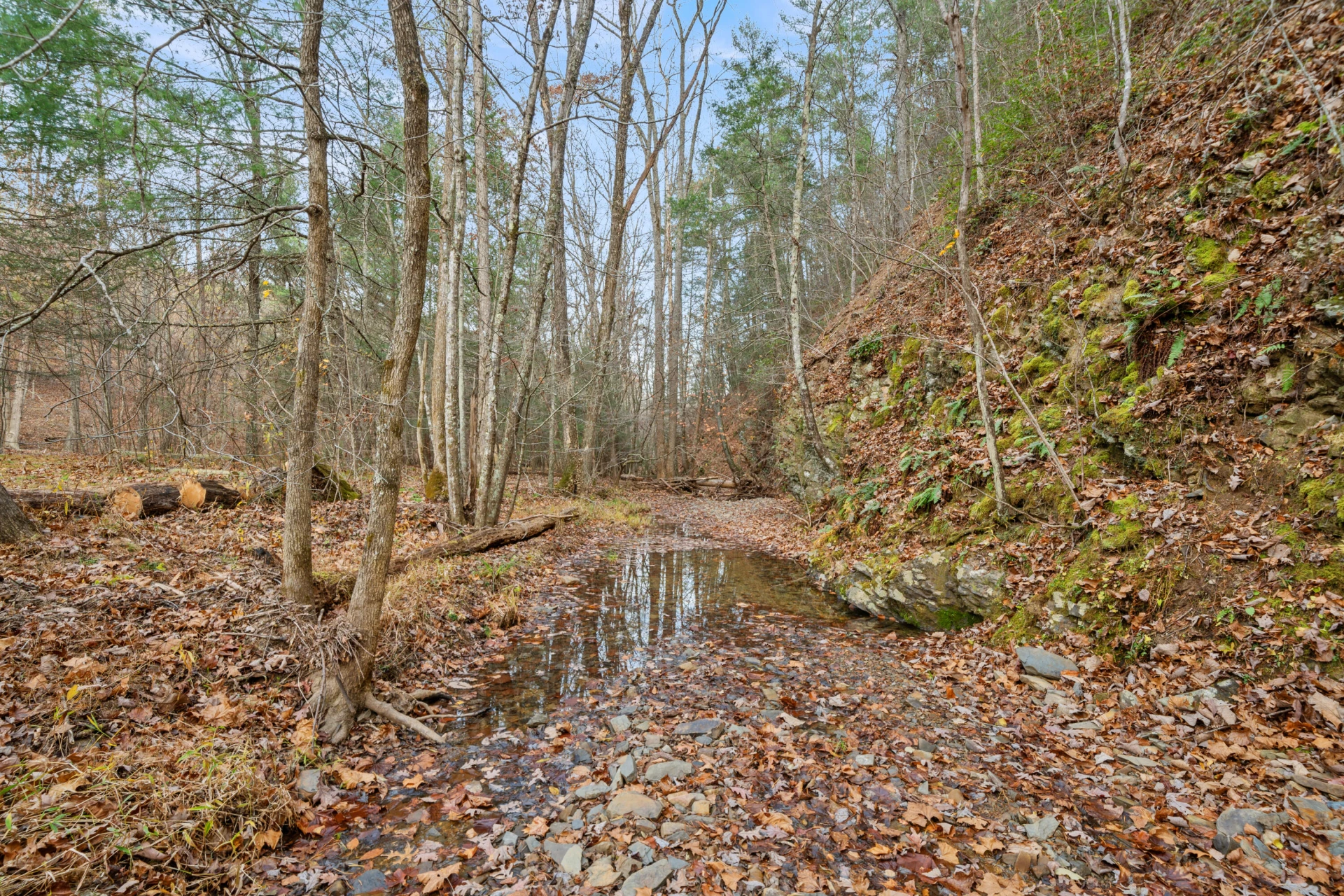 2331 Craig Valley DR - Photo 15