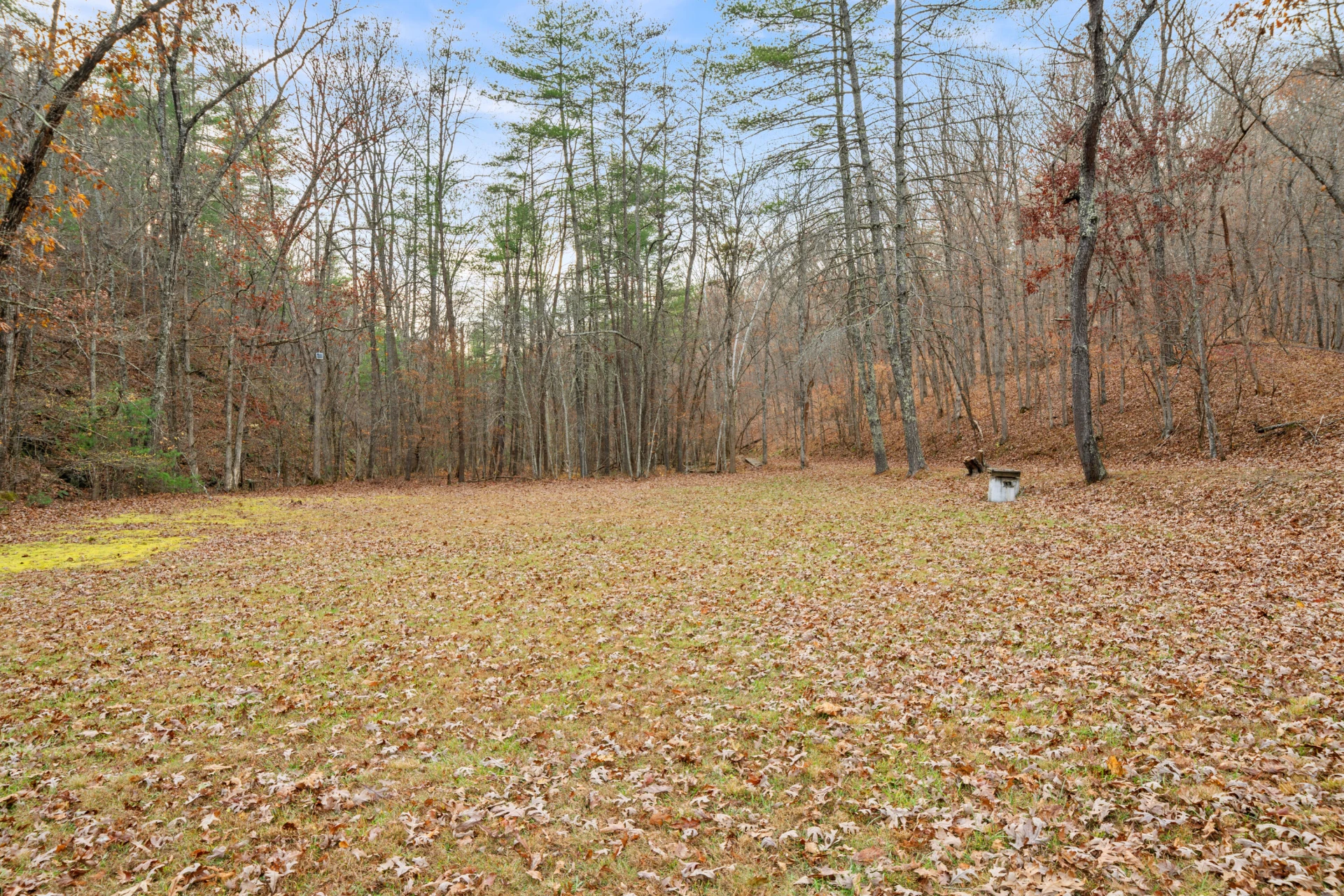 2331 Craig Valley DR - Photo 21