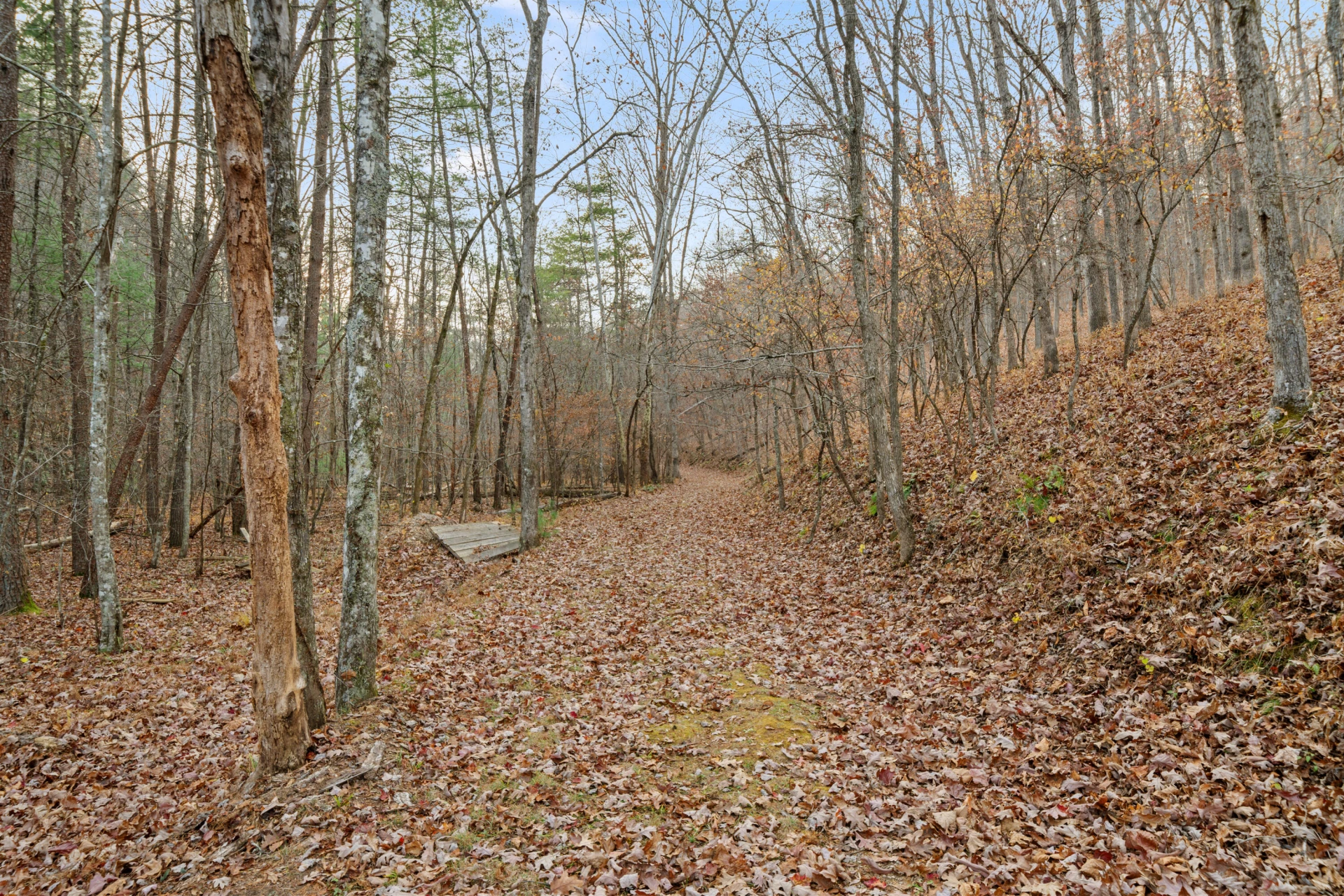 2331 Craig Valley DR - Photo 23