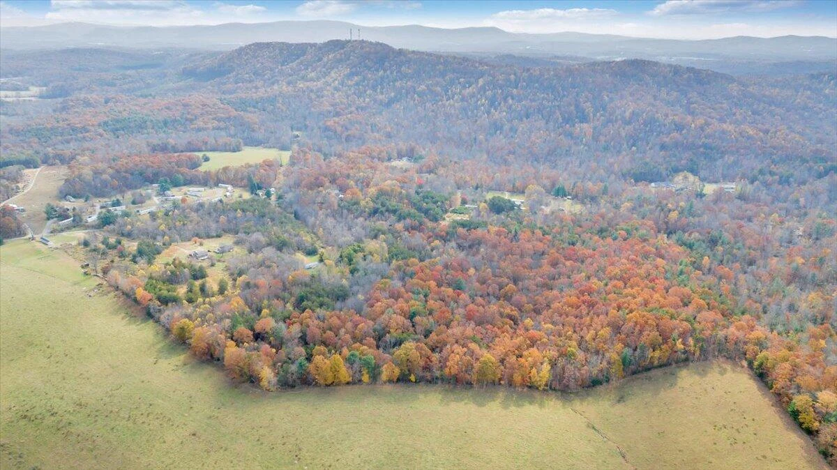 0 Briar Mountain RD - Photo 10