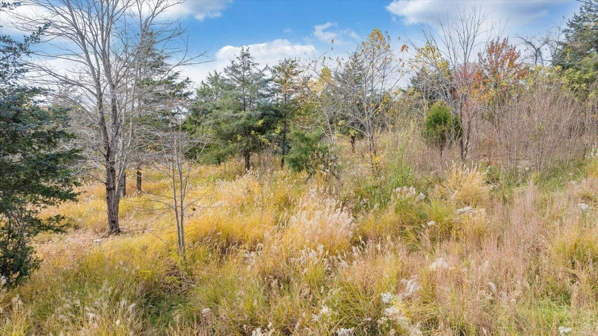 0 Briar Mountain RD - Photo 14