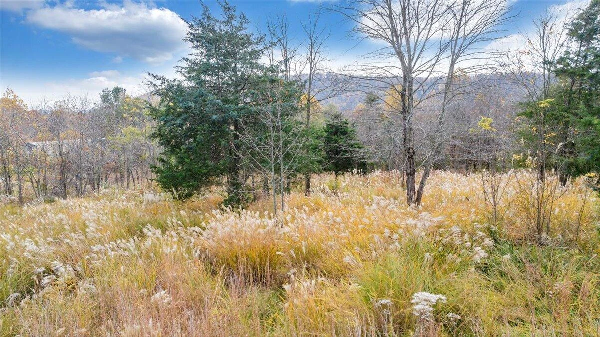 0 Briar Mountain RD - Photo 15