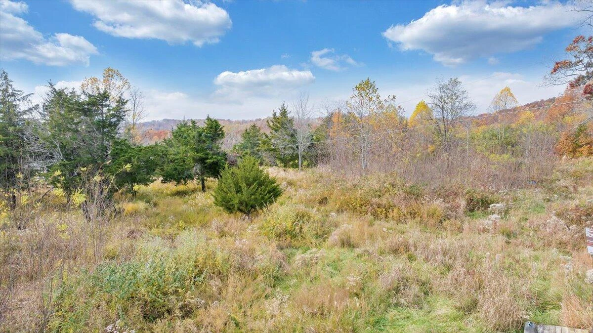 0 Briar Mountain RD - Photo 16