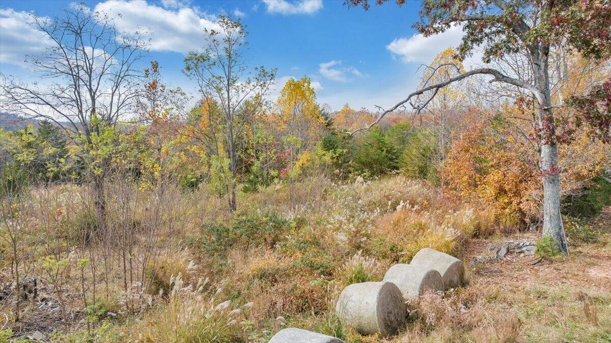 0 Briar Mountain RD - Photo 17
