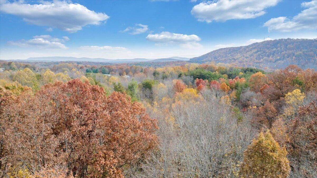 0 Briar Mountain RD - Photo 19