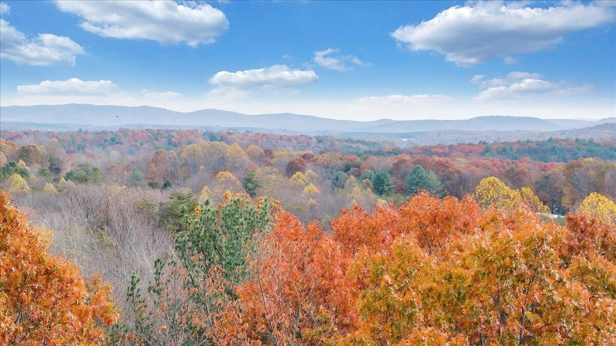 0 Briar Mountain RD - Photo 20