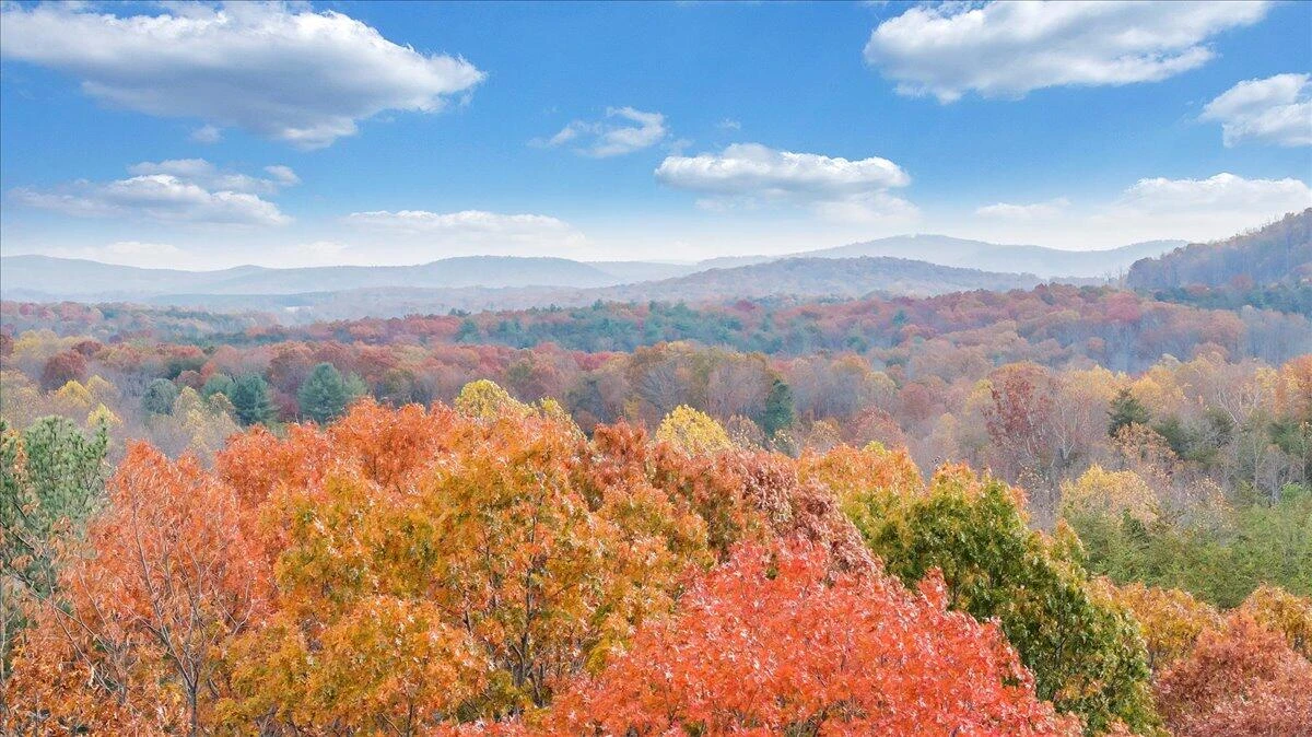 0 Briar Mountain RD - Photo 21