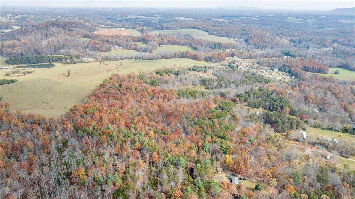 0 Briar Mountain RD - Photo 7