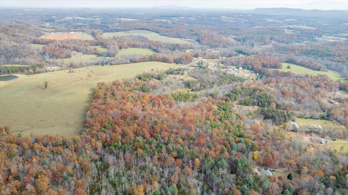 0 Briar Mountain RD - Photo 8