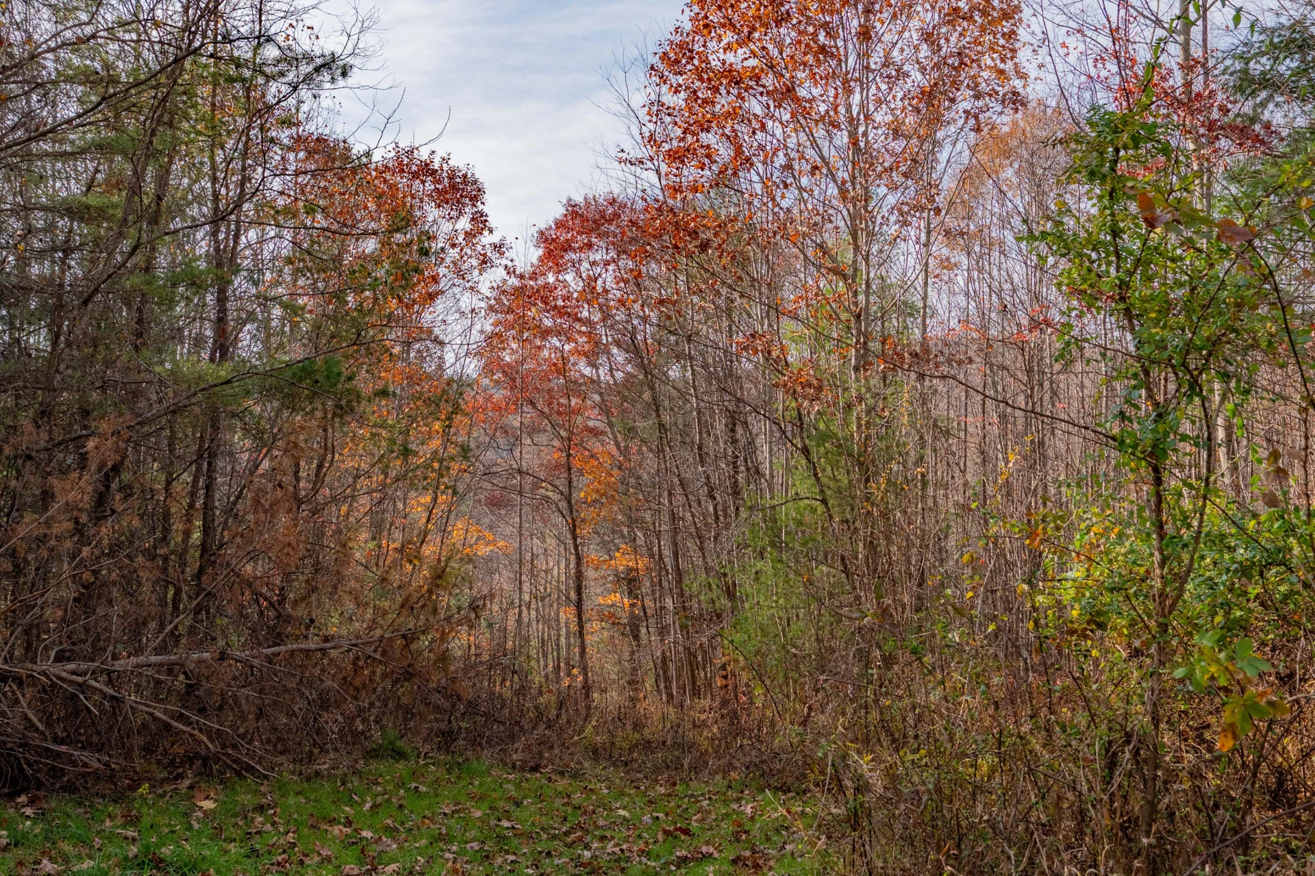 0 Tumbling Waters RD NE - Photo 5