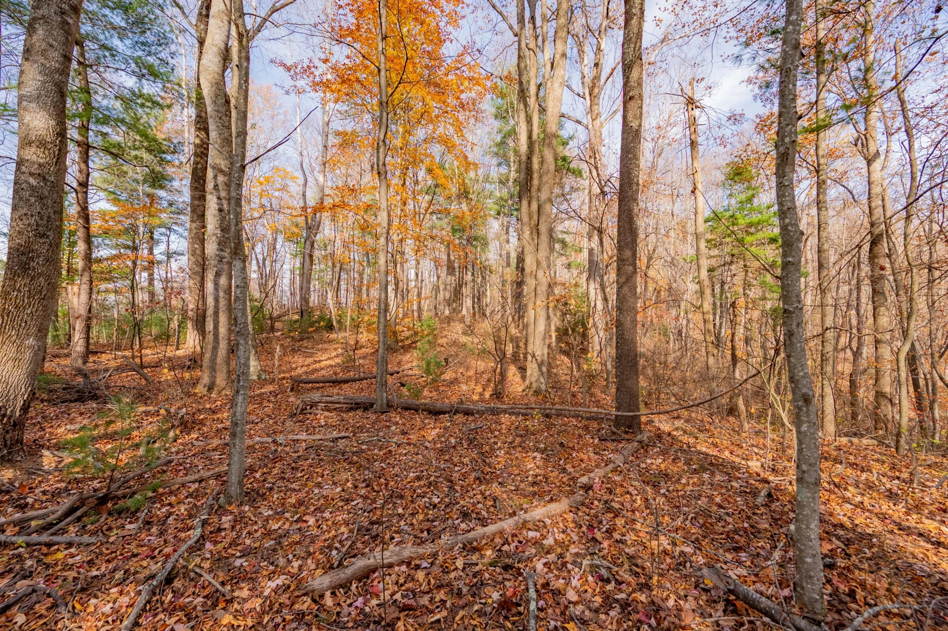 00 Autumn DR - Photo 10