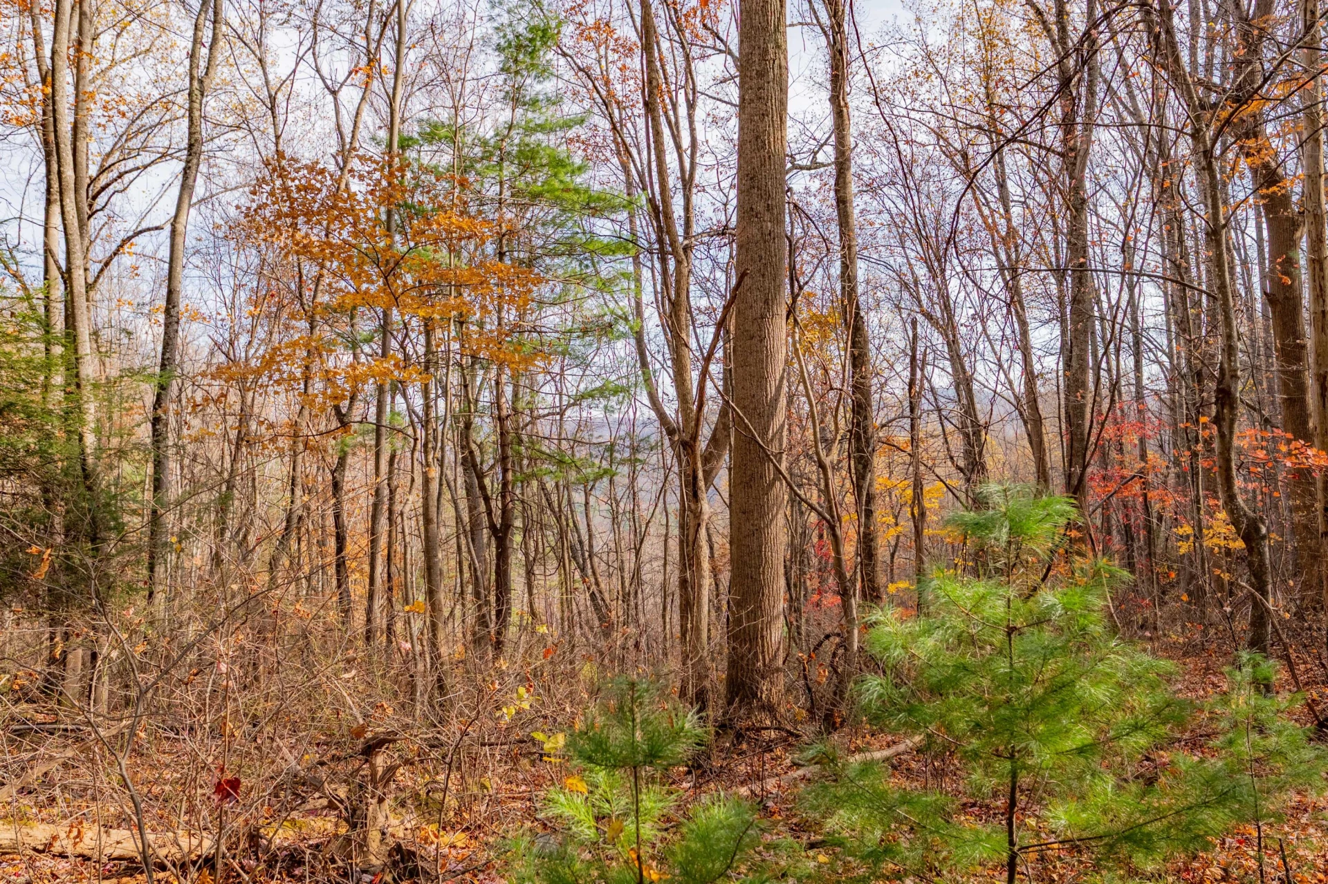 00 Autumn DR - Photo 11