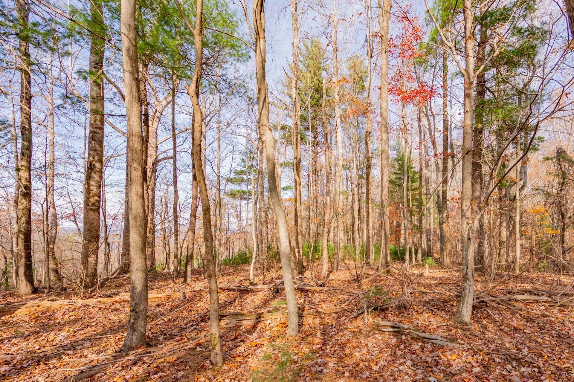 00 Autumn DR - Photo 12