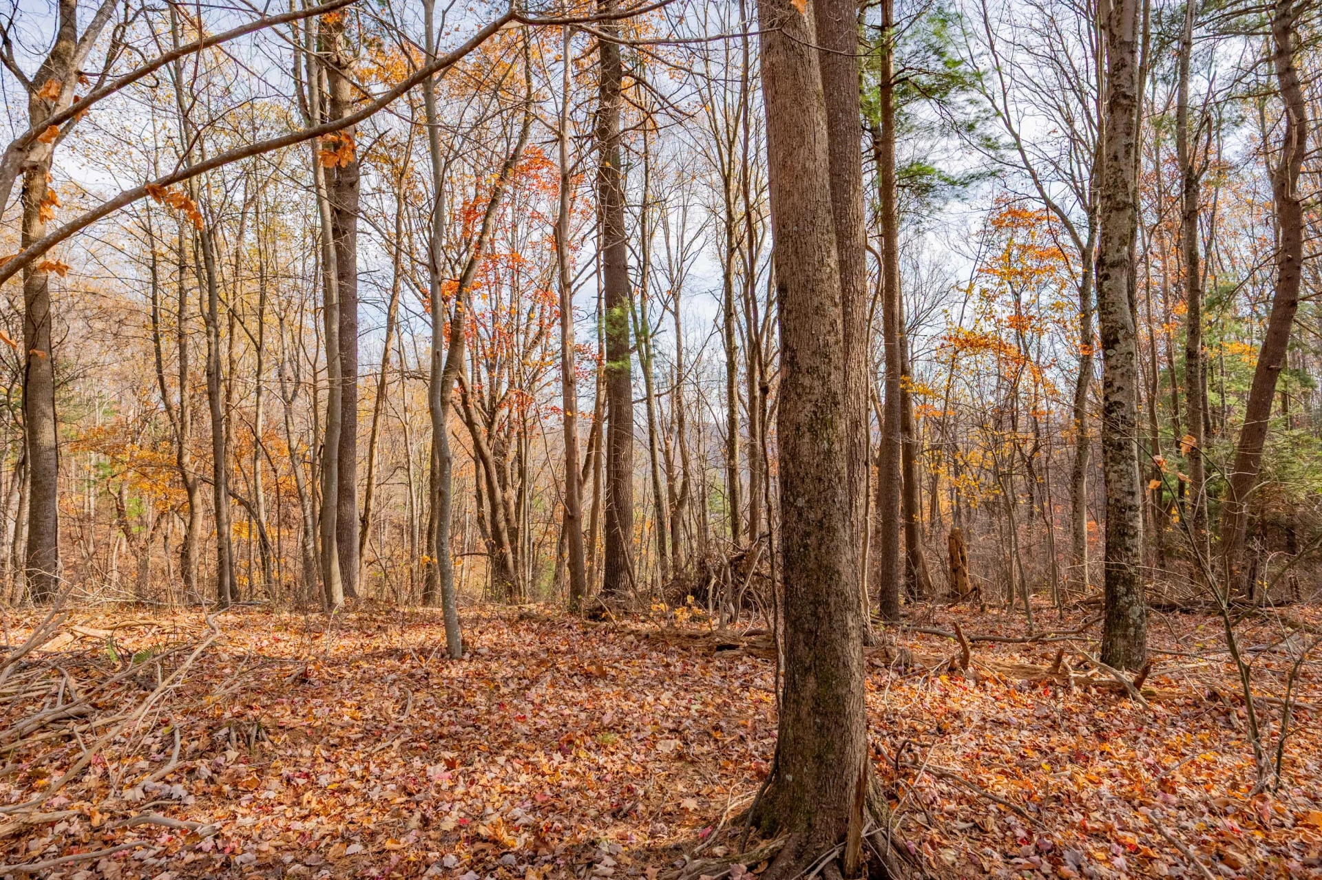 00 Autumn DR - Photo 13