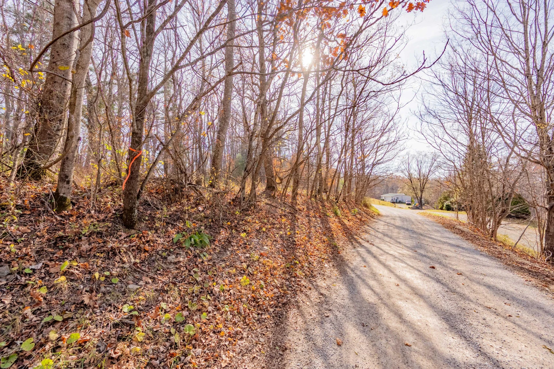 00 Autumn DR - Photo 2