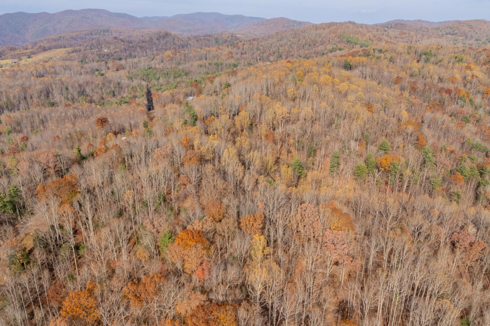 00 Autumn DR - Photo 21
