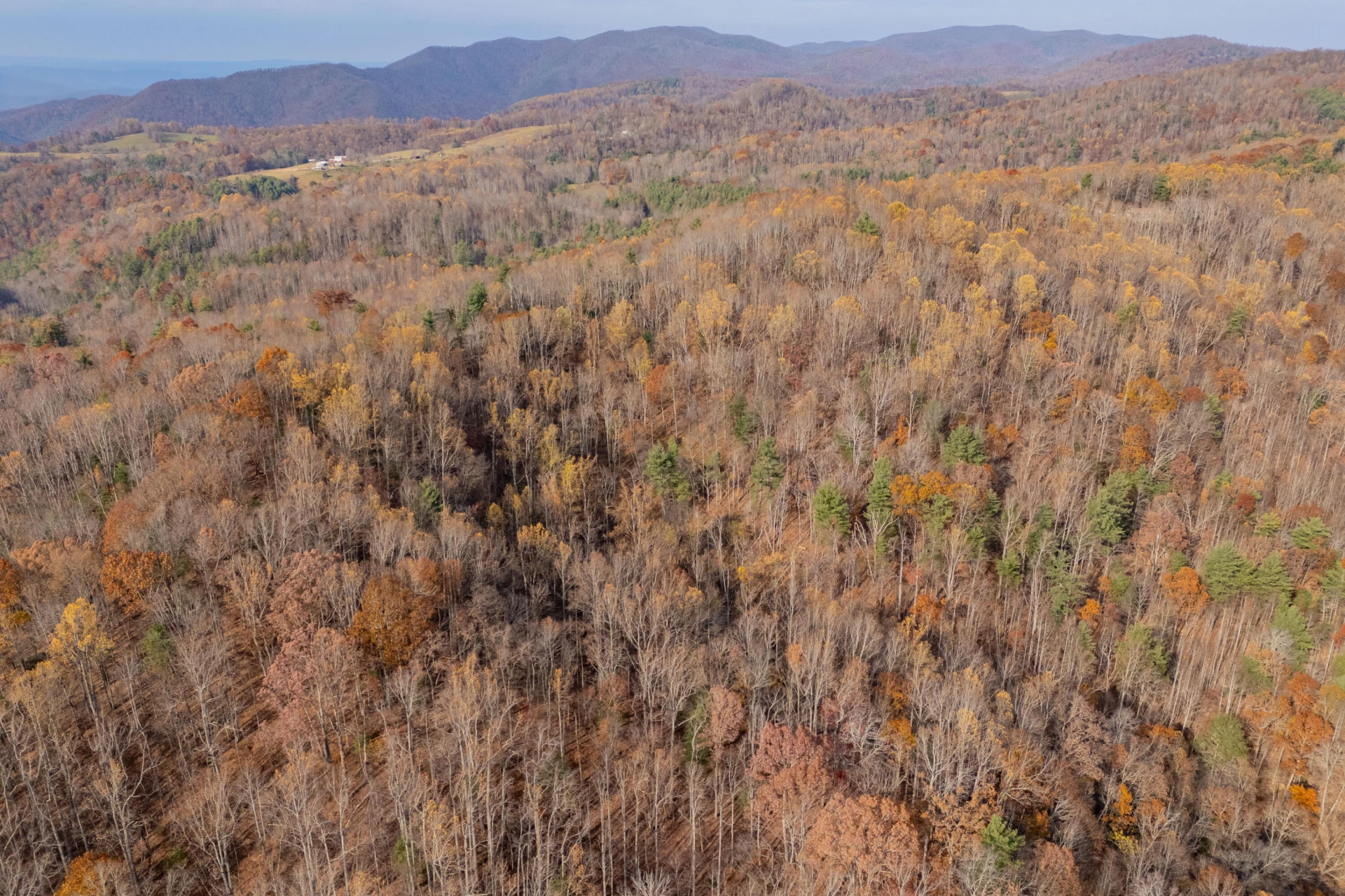 00 Autumn DR - Photo 22