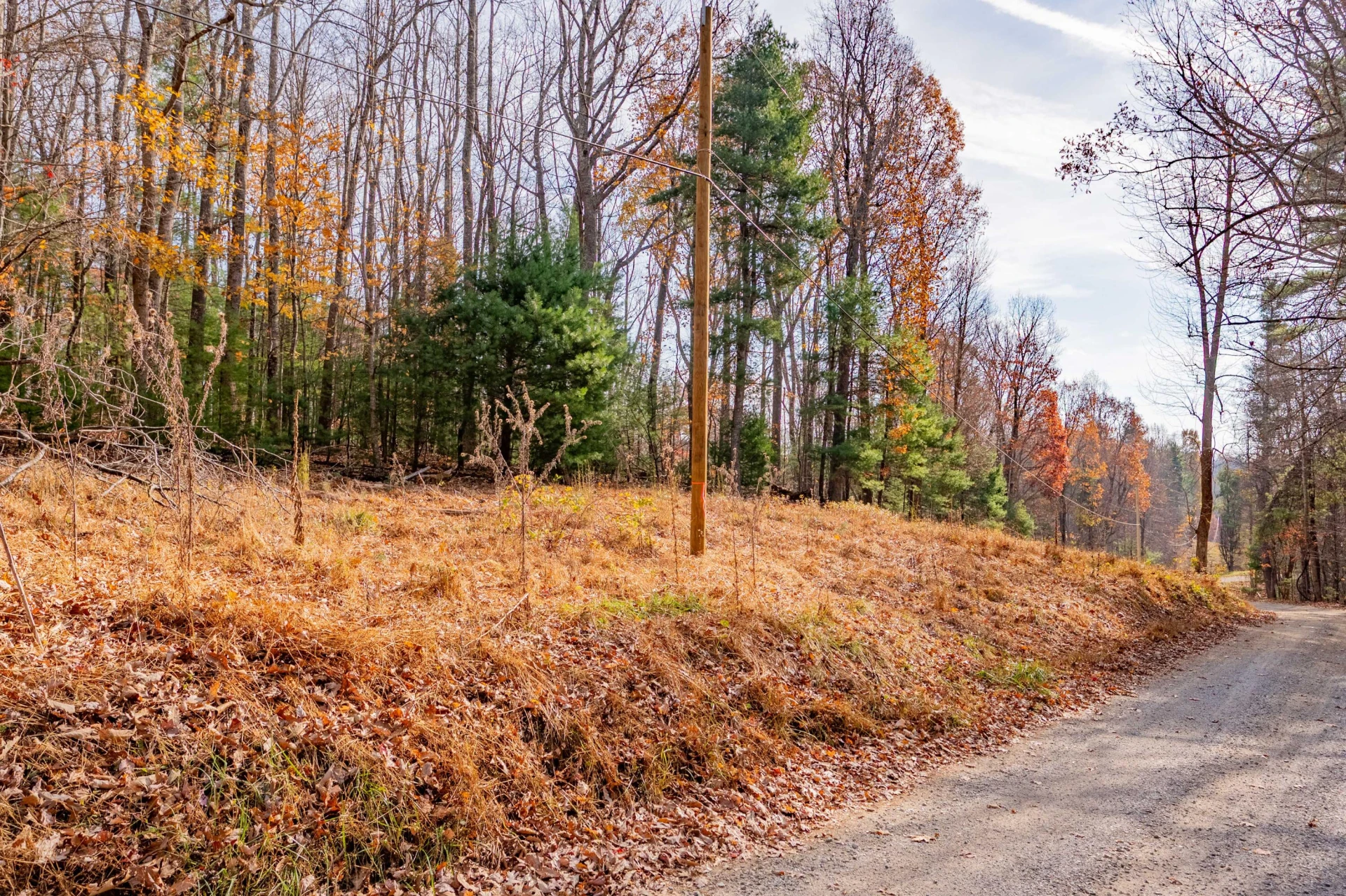 00 Autumn DR - Photo 4