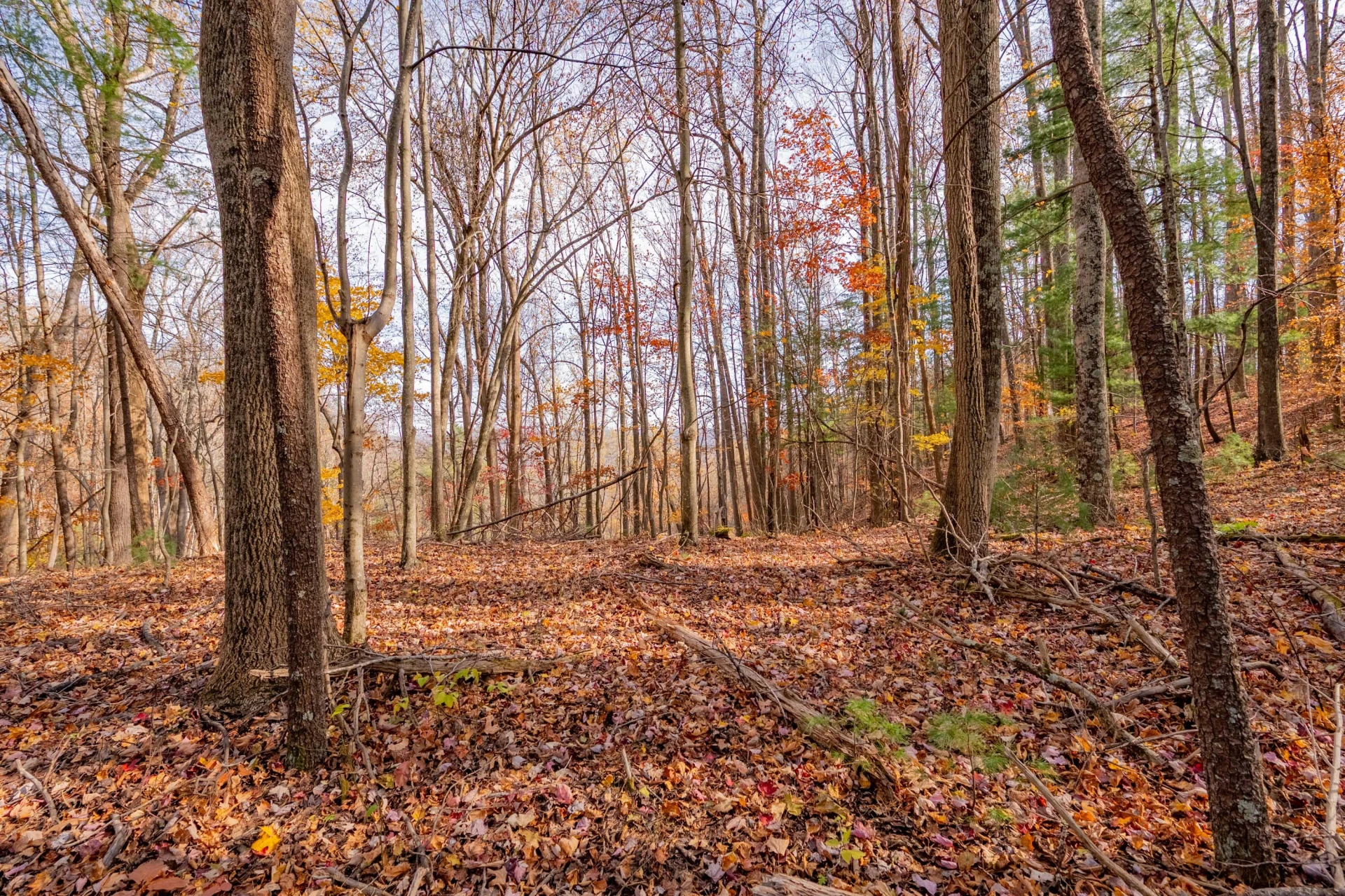 00 Autumn DR - Photo 7