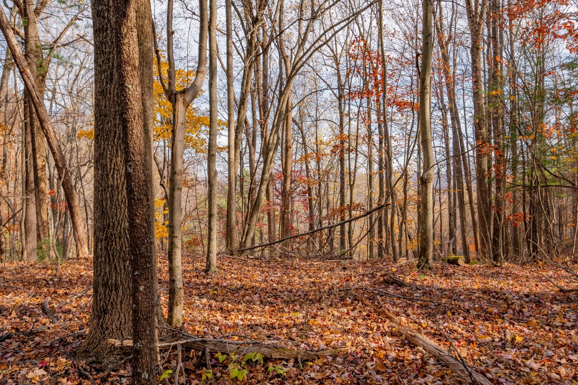 00 Autumn DR - Photo 8