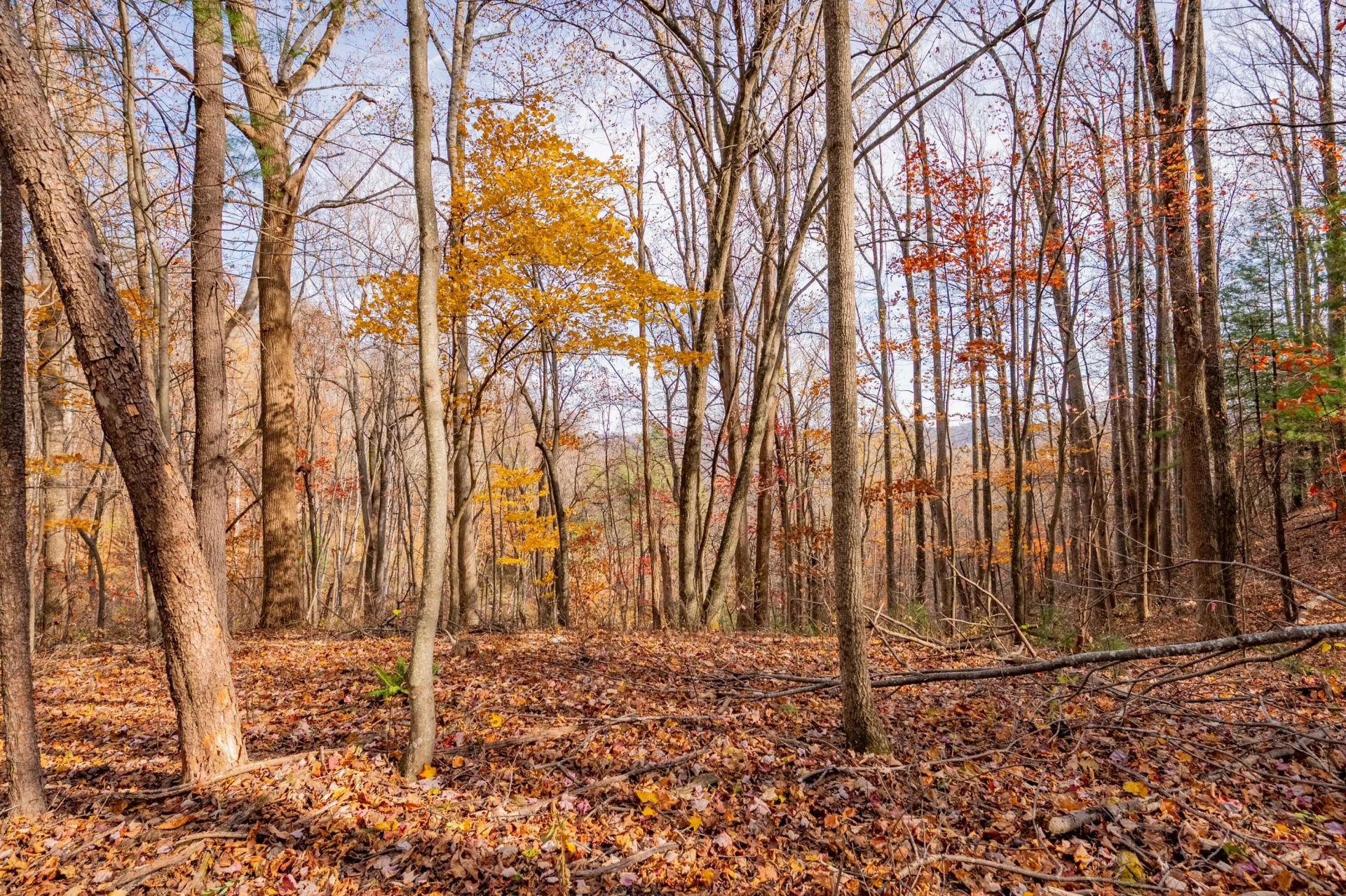 00 Autumn DR - Photo 9